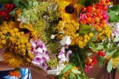 1_signal-2022-08-15-12-09-02-121-24