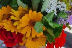 signal-2022-08-15-12-06-38-267-16