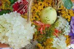 signal-2022-08-15-12-06-38-267-22