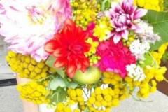 signal-2022-08-15-12-06-55-529-4