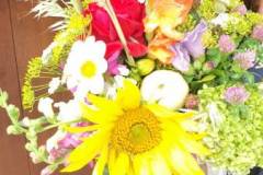 signal-2022-08-15-12-06-55-529-5