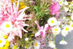 signal-2022-08-15-12-06-55-529-6