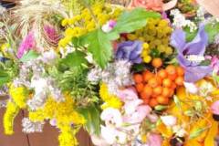 signal-2022-08-15-12-06-55-529-7