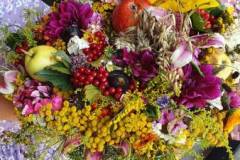 signal-2022-08-15-12-09-02-121-18