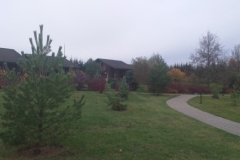 315009589_478145737714510_8016581267363613129_n