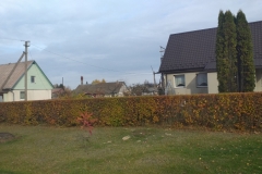 315107820_1242918999624247_4441163280479874537_n