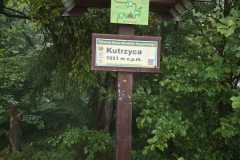 227133e1-4f22-4121-8c2e-5274c9208019