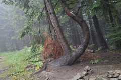 6e34d935-c86c-4ad9-a867-39863ed11925