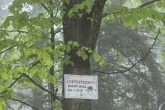 WhatsApp-Image-2026-05-23-at-10.07.54-1