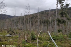 186534139_3964419450313669_1671614958876929919_n