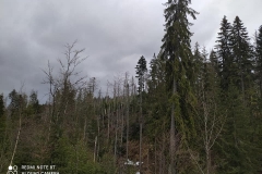 186540263_3964418643647083_8585842759792580308_n