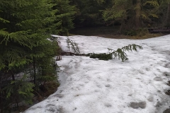 186543153_3964418186980462_7304187866228108070_n