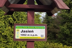 186547960_3964364826985798_7914276157896526789_n