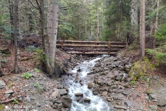 186548108_3964416870313927_7335796381550293242_n