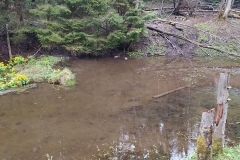 186549628_3964404706981810_5569480305922071413_n