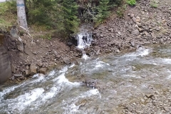 186551837_3964386933650254_7421868144545261809_n