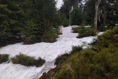 186558242_3964420783646869_934057130650603946_n