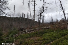 186558463_3964419263647021_766345276561967023_n