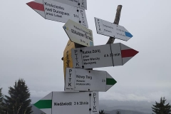 186561527_3964421160313498_7748625589798543277_n