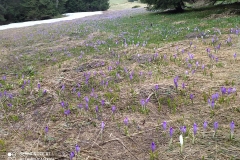 187033759_3964419833646964_5142214703345256178_n