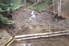 187086848_3964417686980512_668347534871491211_n