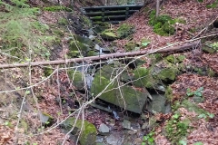 187091728_3964399880315626_4427019695824235986_n