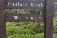 187232330_3964418976980383_6788923998110295903_n