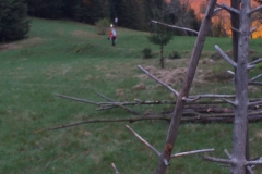 186470877_463358791393696_8284953138224714167_n