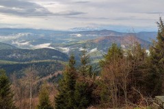 186528964_923658975097214_8778063158718514939_n