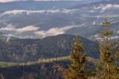 186880304_299766578355121_2862714229965193066_n