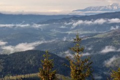 187144934_1926116930885840_2900085266766203150_n