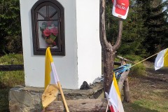 187331616_540119517372811_2071422260474108582_n