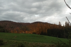 187528708_843427869577931_9070260521313259970_n