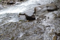 189066546_139862858131891_4516726685276564282_n-1