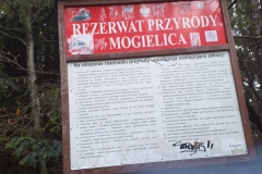 189074334_490431472076050_3175440005296535150_n