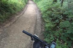 WhatsApp-Image-2019-08-22-at-09.56.12-5