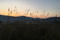 WhatsApp-Image-2019-08-22-at-09.56.12-6