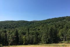 WhatsApp-Image-2019-08-22-at-09.56.14-3