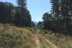 WhatsApp-Image-2019-08-22-at-09.56.14-4