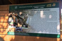 WhatsApp-Image-2019-08-22-at-09.56.14-7