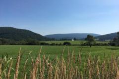 WhatsApp-Image-2019-08-21-at-04.10.06