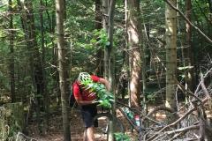 WhatsApp-Image-2019-08-21-at-04.10.10