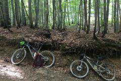 WhatsApp-Image-2019-08-21-at-04.10.11-1