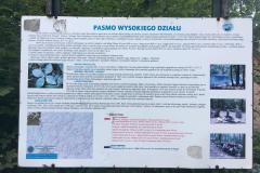 WhatsApp-Image-2019-08-21-at-04.10.11-5