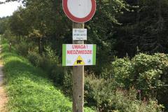 WhatsApp-Image-2019-08-21-at-04.10.11