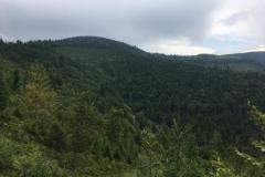 WhatsApp-Image-2019-08-16-at-22.07.34-1