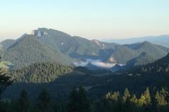 WhatsApp-Image-2019-08-20-at-07.17.19-5