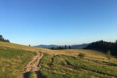 WhatsApp-Image-2019-08-20-at-07.17.19-6