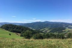 WhatsApp-Image-2019-08-20-at-07.17.20-2