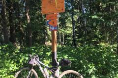 WhatsApp-Image-2019-08-20-at-07.17.20